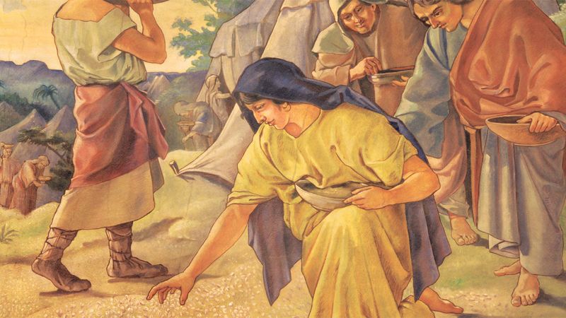 Stand Still, and See the Salvation of the Lord